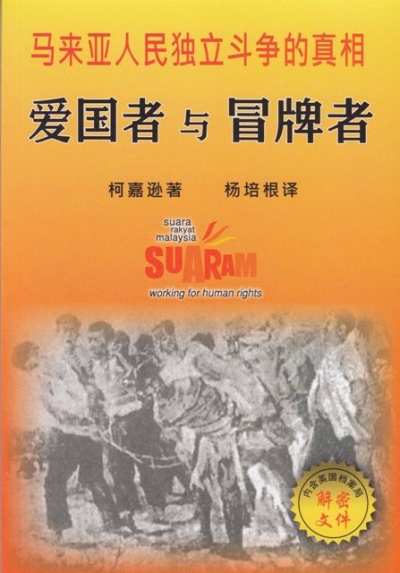 爱国者与冒牌者