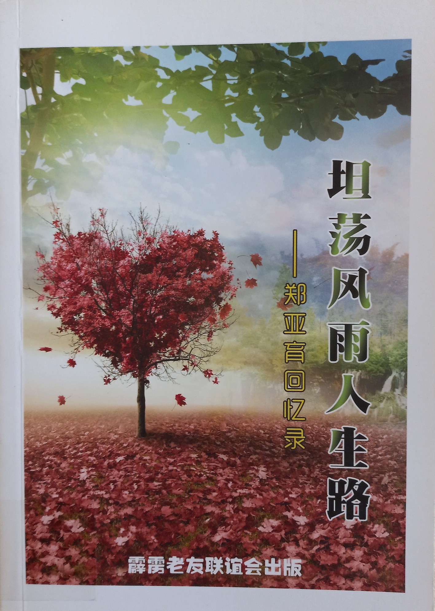 坦荡风雨人生路