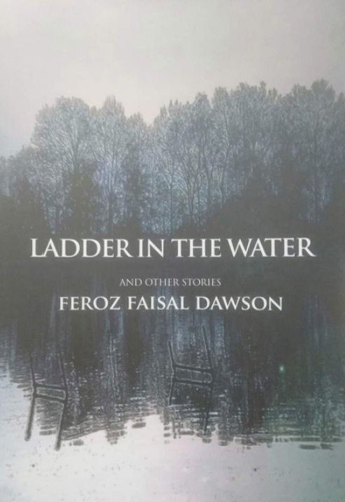 Ladder in the Water and Other Stories