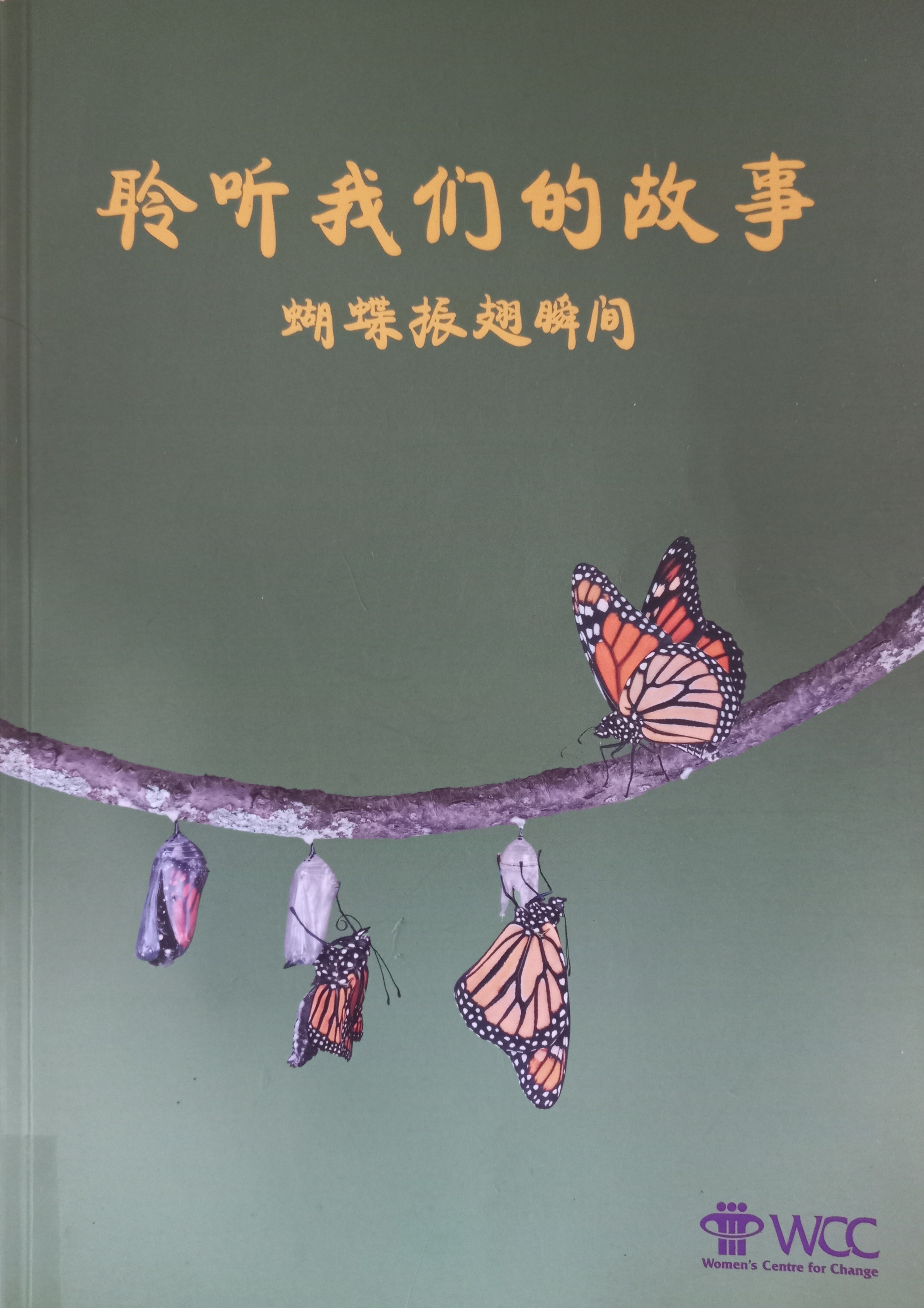 聆听我们的故事：蝴蝶振翅瞬间